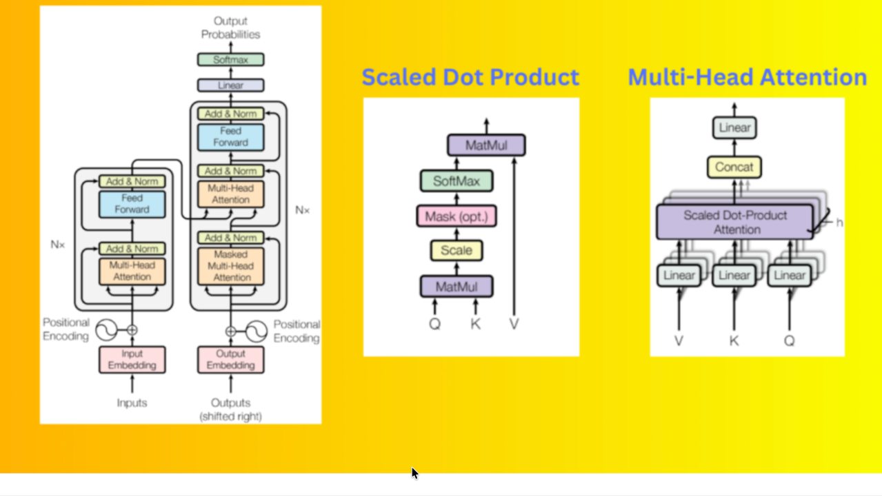 Feed-Forward Networks: How Transformers Refine What They Learn
